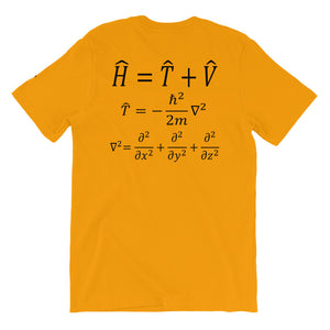 Schrodinger's Equation: Ride the Wave!