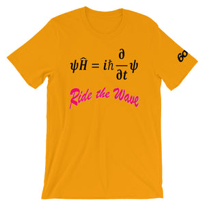 Schrodinger's Equation: Ride the Wave!