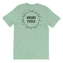 Krebs Cycle Shirt