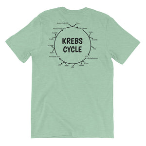 Krebs Cycle Shirt